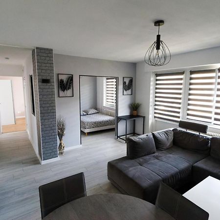 Agreable Et Spacieux Appartement Lumineux T4 Alsace Riedisheim エクステリア 写真
